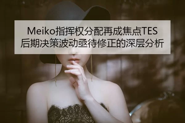 Meiko指挥权分配再成焦点TES后期决策波动亟待修正的深层分析