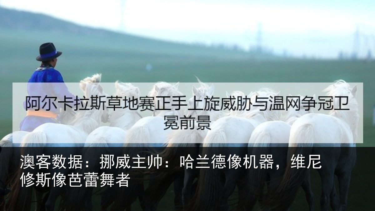 澳客数据:挪威主帅:哈兰德像机器,维尼修斯像芭蕾舞者