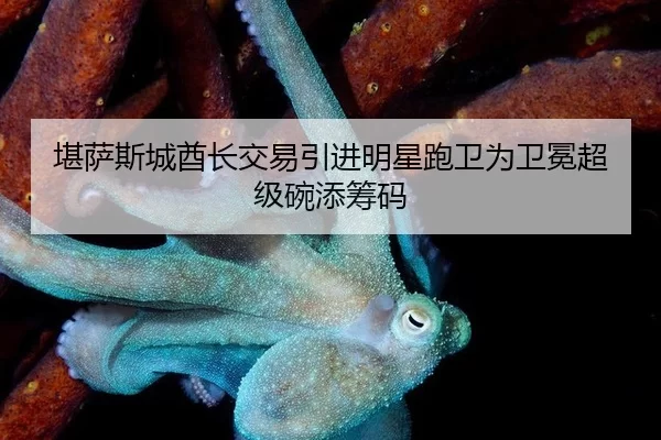 kan-sa-si-cheng-qiu-zhang-jiao-yi-yin-jin-ming-xing-pao-wei-wei-wei-mian-chao-ji-wan-tian-chou-ma-3-101.jpg